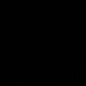 Meet your Posher, Lenny